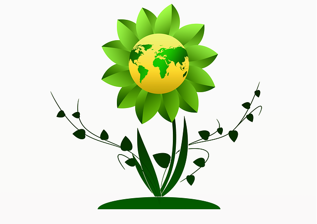 growth-2784466_640.png?derivate=usage%3Dposter&cs=91bba2322854ed90b506062e38881010bc6751c873ad1abbe4984db8197b1e935a2c280a836284773ae6779f047ce3d003a1f06b5f536bfaec30168acce628a1